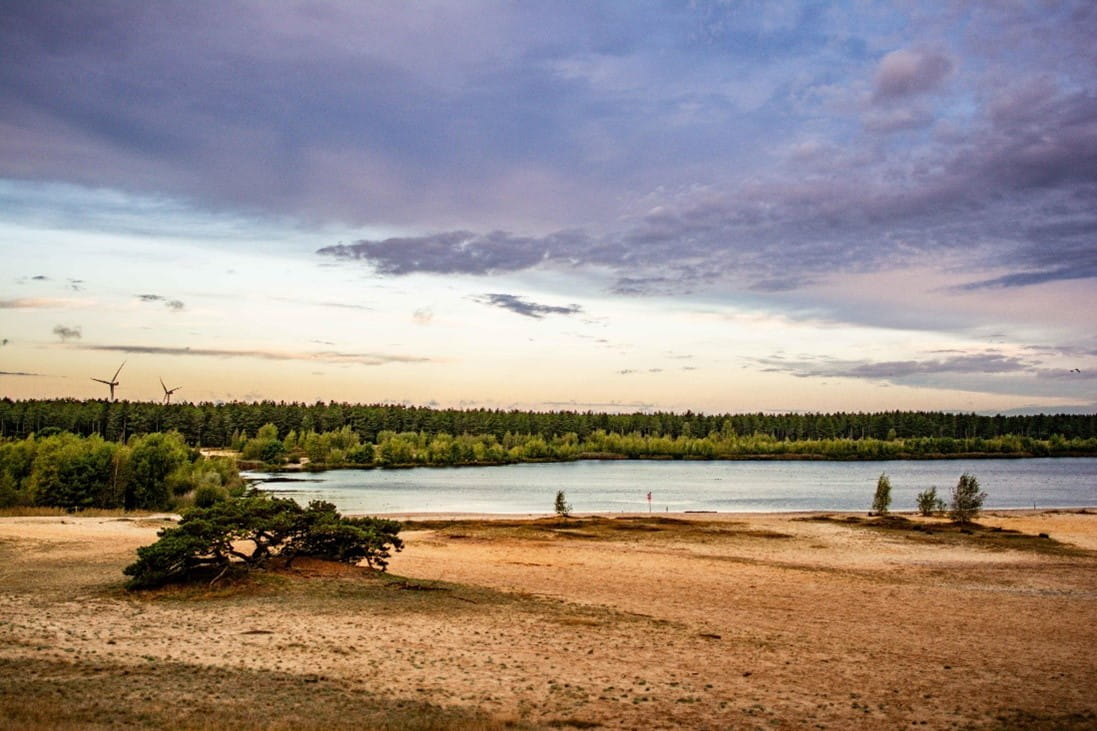 Een meer te midden van de zandduinen in de Lommelse Sahara.