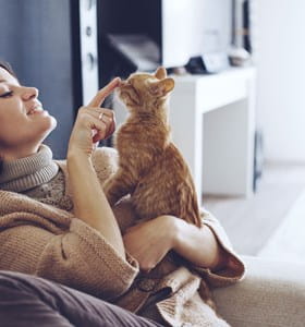Vrouw speelt met haar kat na een verhuizing