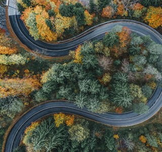 Les arbres du domaine public qui causent des dommages peuvent engager la responsabilité de la municipalité.
