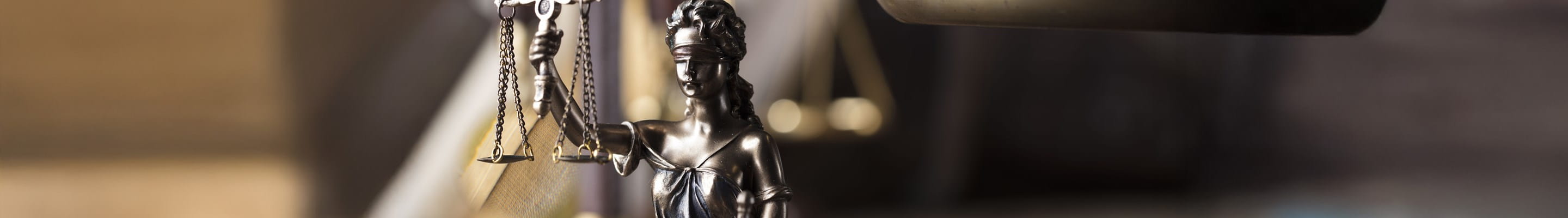 Een verzekering rechtsbijstand kan de gemeente financieel ondersteunen in een gerechtelijke procedure.
