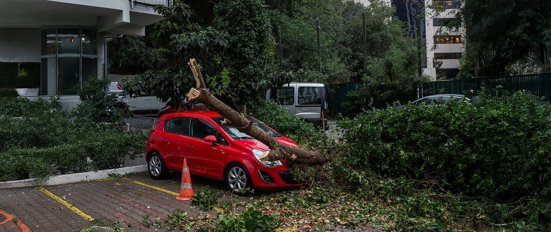 Voiture endommagée par une chute d'arbre. 