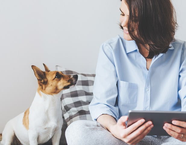 Een vrouw bekijkt op haar tablet de MyAXA klantenzone, waar ze al haar verzekeringen op 1 plaats heeft.
